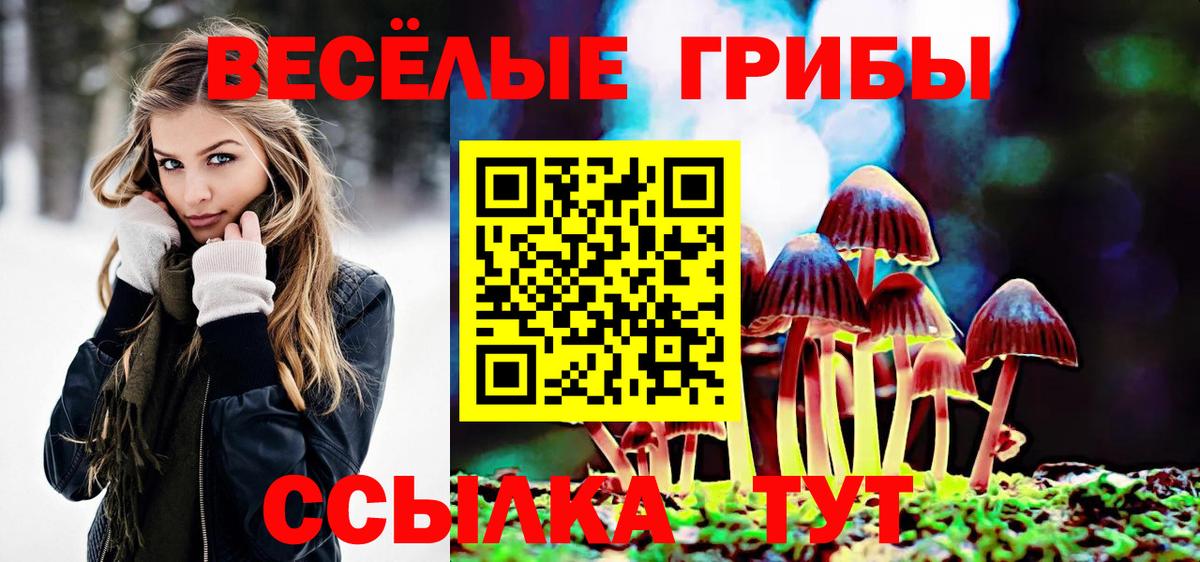 Псилоцибиновые грибы прущие грибы  Галлюциногенные грибы Cubensis  Вход с VPN  купить  сайты  Гулькевичи 